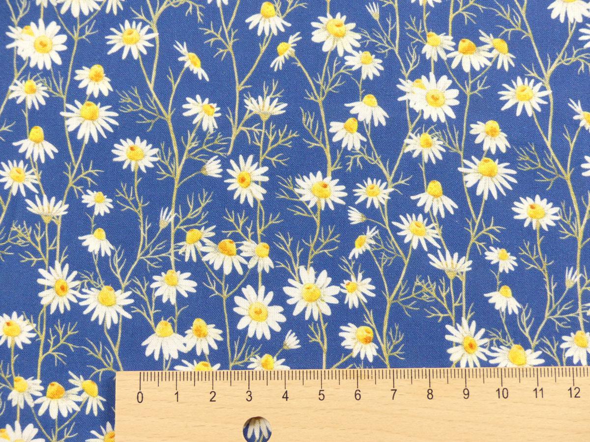 Hedgehog Hollow Blumen Gänseblümchen Daisies blau von In the Beginning